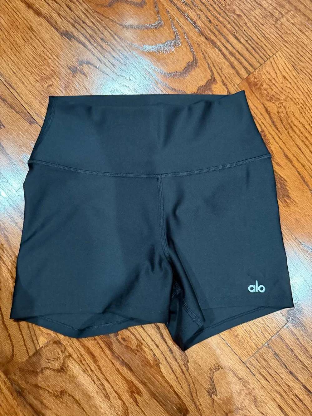 ALO Yoga Black High-Rise Bike Shorts